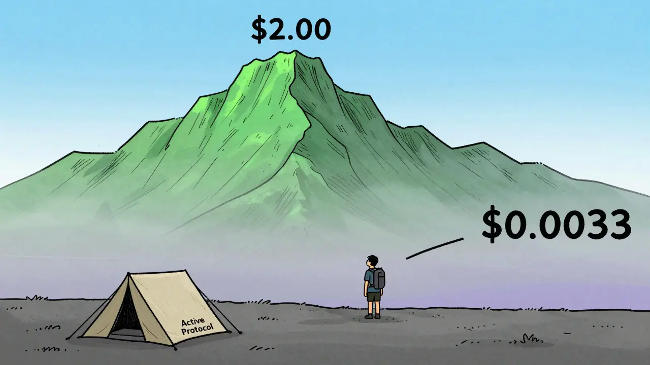 Hiker in a valley looking up at a high peak, illustrating the token's price decline.